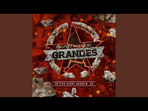 El Gerente MZ (En Vivo)