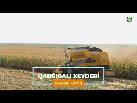 Qarğıdalı xederi