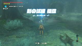 ゼルダの伝説 ブレス オブ ザ ワイルド（マイク有）25【剣の試練 極位2】
