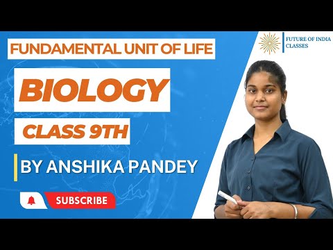 FOI Classes Bhopal Video 3