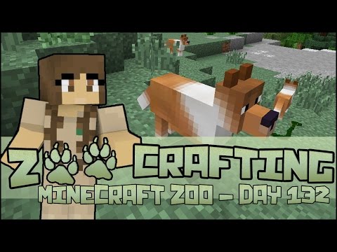 Exploring Collie Mountain 🐘 Zoo Crafting: Season 2 - Episode #132
