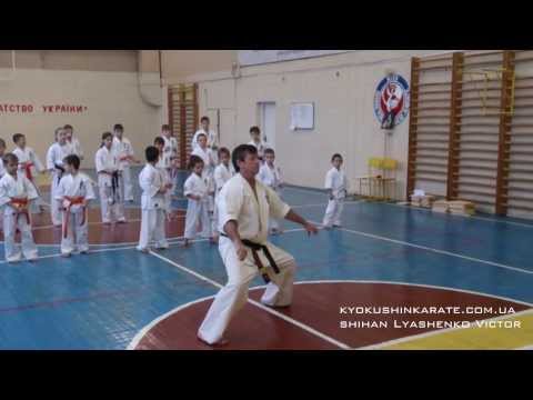 Shihan Lyashenko Victor - Kata Seienchin (WKO ShinKyokushinkai)