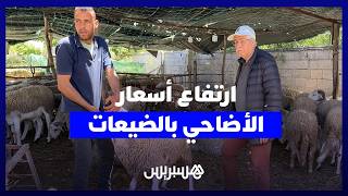 "الأثمنة القديمة مبقاتش"..  لهيب أسعار الأضاحي يواجه إقبال المغاربة على ضيعات "علال البحراوي" thumbnail
