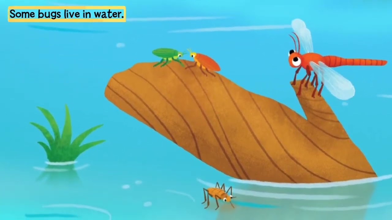 Bugs - Storytime Videos - Educational Children's Books
