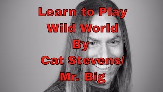 Learn How to Play Wild World by Cat Stevens/Mr. Big - Steve Stine Guitar Lesson
