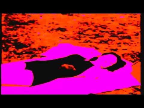 KöSHRiMP -  Past Chronology