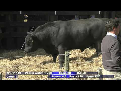Remate Cabaña "El Transito" de Lopez Armentia - Ayacucho -  8 Septiembre 2023