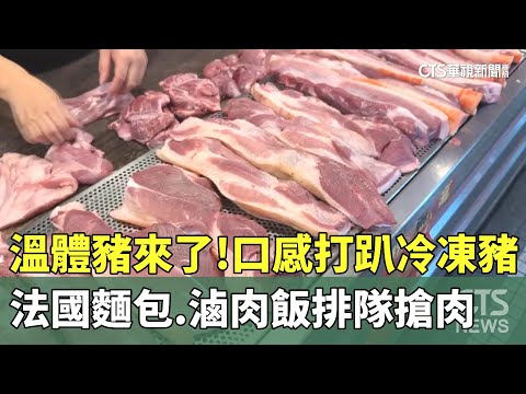 溫體豬來了！　口感打趴冷凍豬　法國麵包.滷肉飯排隊搶肉