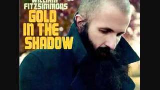 William Fitzsimmons - What Hold