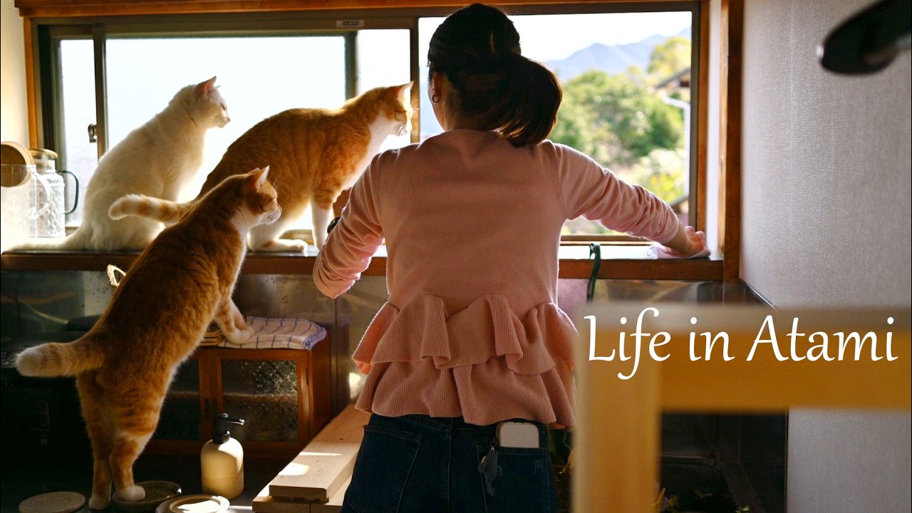 #142 思い出は心の中に｜ネコと植物との大切な日常