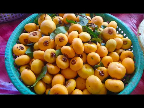 Good Morning Cambodia -  Let's Go To The Market  - Everyday Fresh Foods For Sales @ PC Market