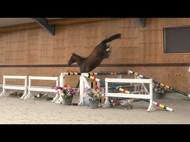 Jumping