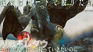 【MHWilds】歴戦王レ・ダウ ランス 落石猫有り 装衣閃光玉無し 【飛燕・大返し突き・飛び込み突き】