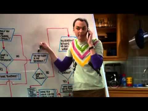 ビッグバン・セオリー 友情のアルゴリズム (The Big Bang Theory - The Friendship Algorithm)