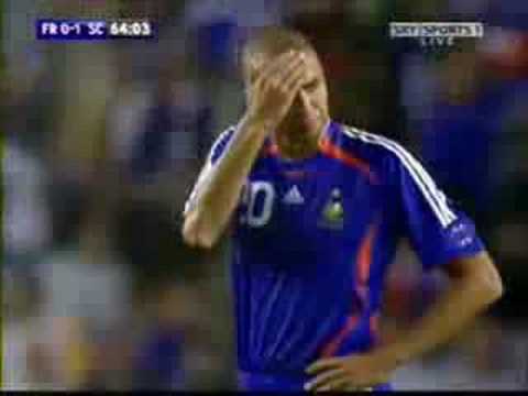 McFadden goal v France