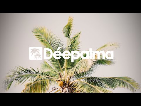 Momo Khani & Meindel - Callisto [Déepalma Records]