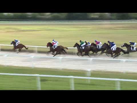 2020.09.27. 08. futam - GLOBAL GENTL HENDIKEP (V/b.)(szintetikus pálya)