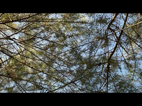 nayla’s vlog | day one in yogya, ngrumput beach🤍🌊