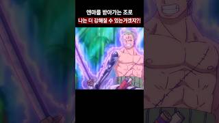 엔마로 X간지 대사를 하는 조로