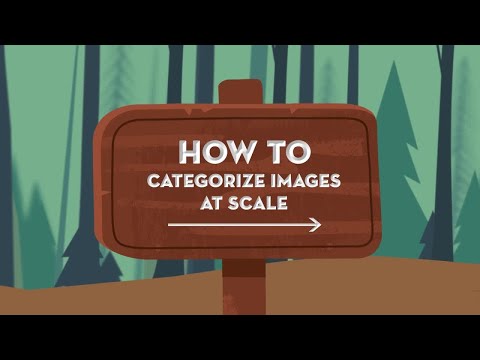 Einstein Platform: Vision