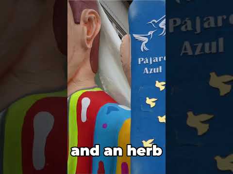 Este carnaval ecuatoriano es absolutamente divertido🇪🇨🇪🇨 #Traditions #CulturalFestival