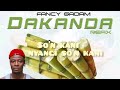 Fancy Gadam DAKANDA Refix Official Lyrics Video