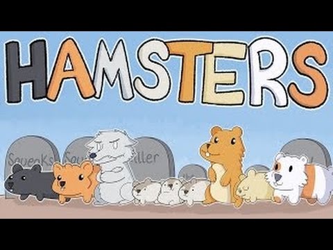 Our Hamsters Wonderful topic