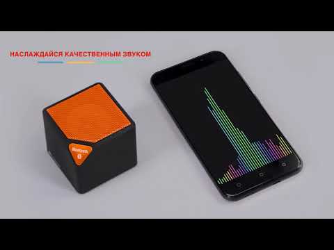 Портативная колонка CANYON CNE-CBTSP2BO
