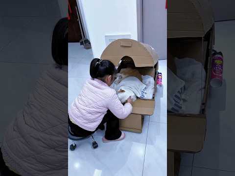 चिंकी ने टॉमी को मशीन में ही जला दिया फिर जो हुआ 🤯💔#shorts #dog #shortsfeed #shortsviral