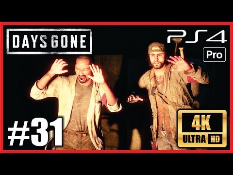 DAYS GONE PS4 PRO 100% Walkthrough Part 31 UHD 4K Gameplay "I TRIED TO HIT THAT ONCE" No Commentary