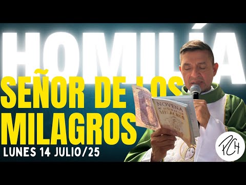 Padre Chucho - HOMILÍA 14 DE JULIO
