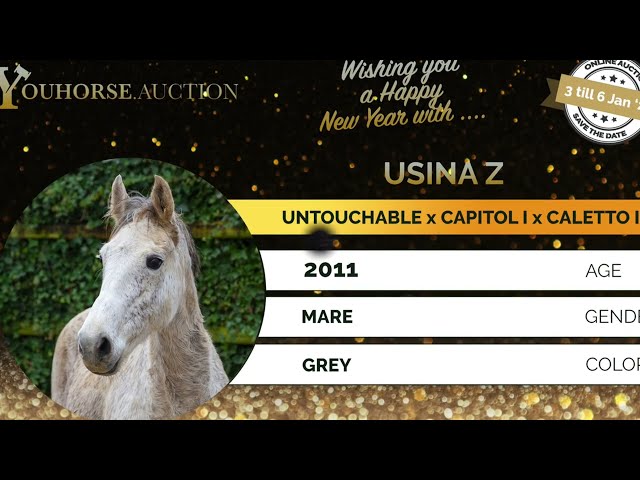 Usina Z