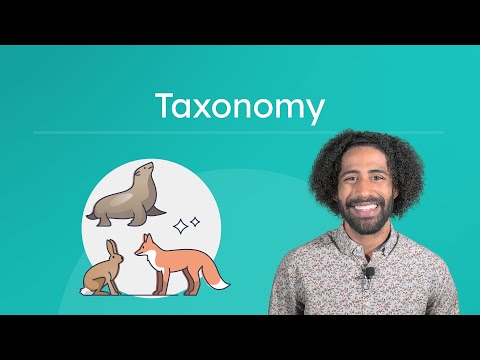 Taxonomy - How Scientists Classify Living Things