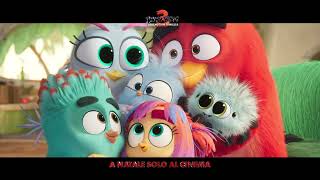 Angry Birds 3 - Terremoto in famiglia | Trailer Ufficiale