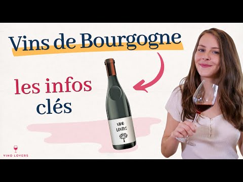 Vins de Bourgogne : l'essentiel à savoir pour mieux comprendre ce vignoble