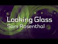 Sam Rosenthal: Looking Glass (1984)