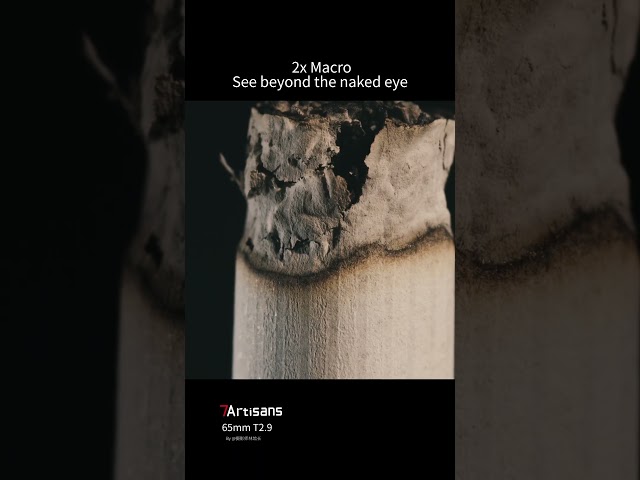 Vídeo relacionado con 7artisans 65 mm T2.9 Macro 2X Infinte Series Lente Prime de Cine de fotograma Completo y Gran Apertura Compatible con cámaras sin Espejo Canon EOS-R con Montura R1,R3,R5,R52,R6,R62,R8,R,RP,R7,R10,R50