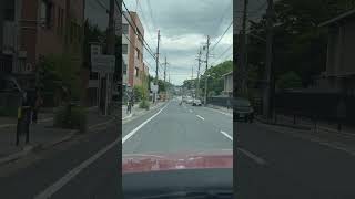 これが奈良の日常🦌#奈良 #奈良市 #鹿