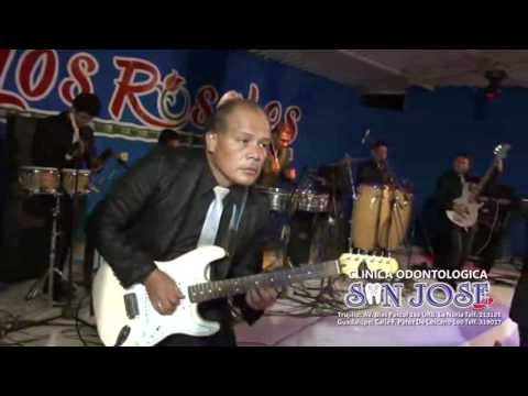 CERVEZA RON Y GUINDA - GRUPO NECTAR EN VIVO 2016