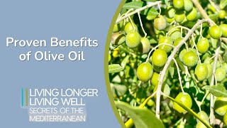 Unlocking the Secrets of Olive Oil | Living Longer, Living Well