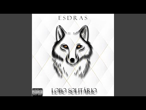 Lobo Solitário