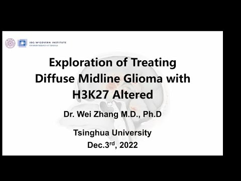 Exploration of TreatingDiffuse Midline Glioma withH3K27 AlteredDr. Wei Zhang Tsinghua University