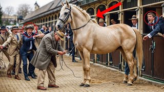 Granjero Pobre Fue Humillado En la Subasta de Caballos... Hasta Que La Verdad Salió a La Luz