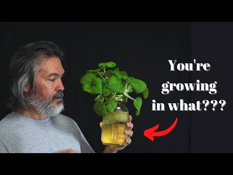 Best Video for Failed Gardeners and Hydroponic Beginners