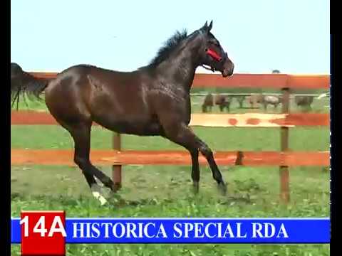 2014-GRAN REMATE HARAS RINCON DEL AGUARA - LOTE 14A - HISTORICA SPECIAL RDA