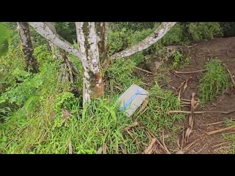 Hiking at Deux Mamelles Eastern Peak, Mauritius