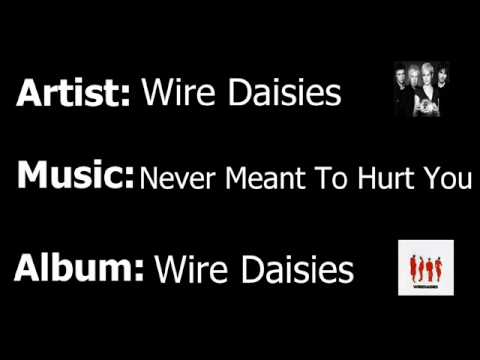 Wire Daisies - Never Meant To Hurt You
