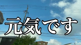 お久しぶりです