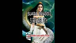 Download lagu sp.ini cocok d musim penghujan dan anakan#sp Si ratu naga putih# mp3 Download lagu sp.ini cocok d musim penghujan dan anakan#sp Si ratu naga putih# mp3