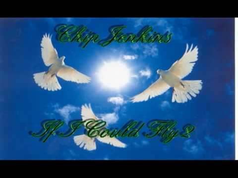 Chip Jenkins - If I Could Fly2.